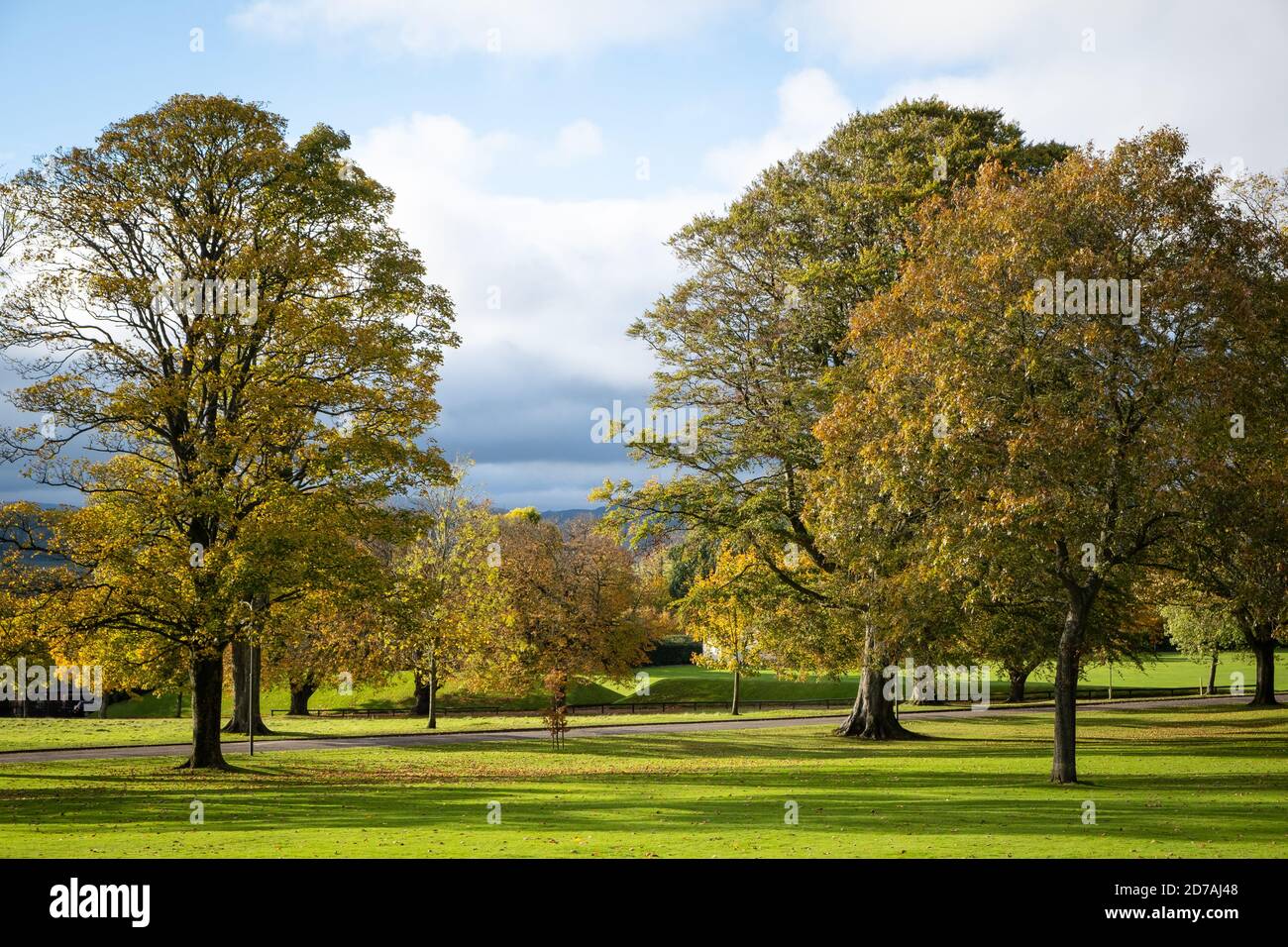 Octobre 2020, Crichton Campus, Dumfries, Écosse. Le soleil, les arbres et les couleurs automnales sont relaxants à regarder pendant la pandémie de covid. Banque D'Images