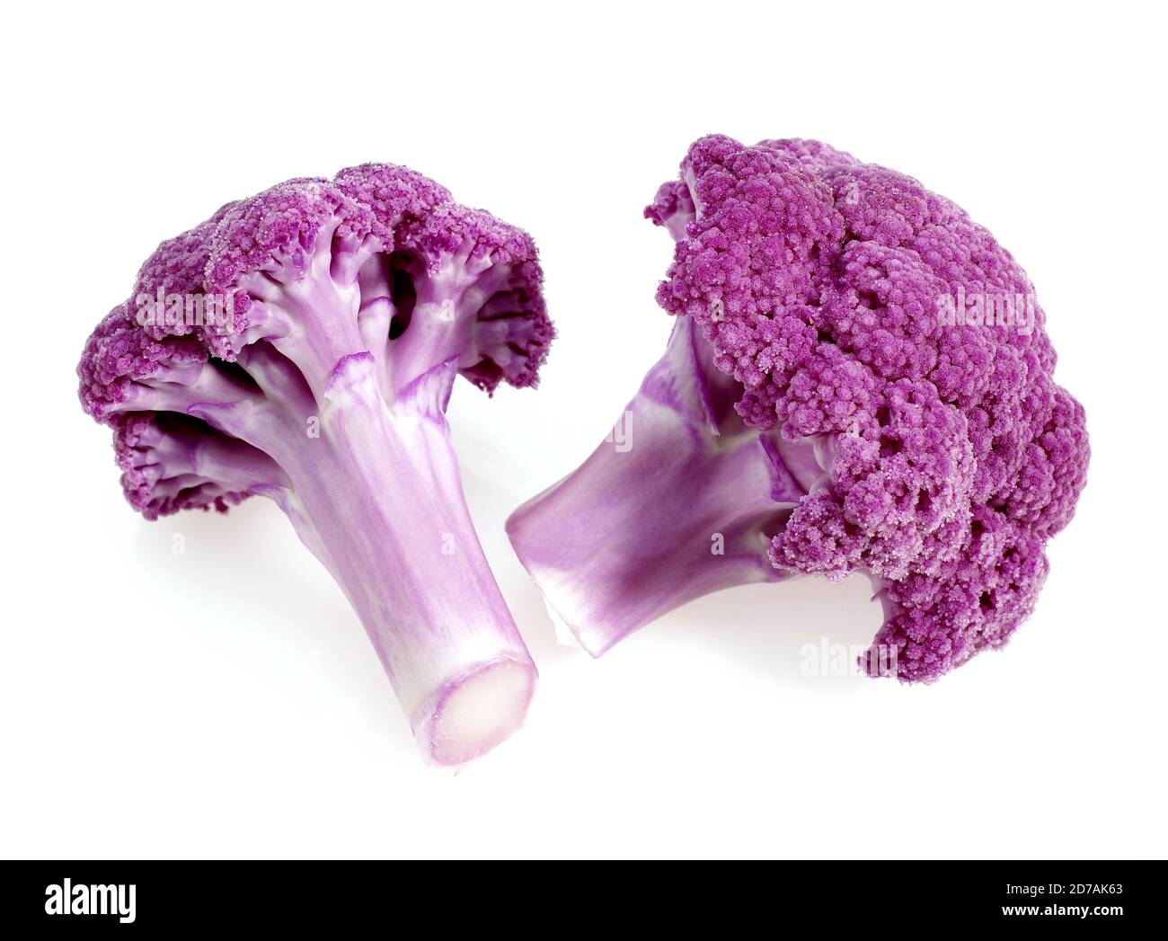 Chou-fleur violet contre FOND BLANC Banque D'Images