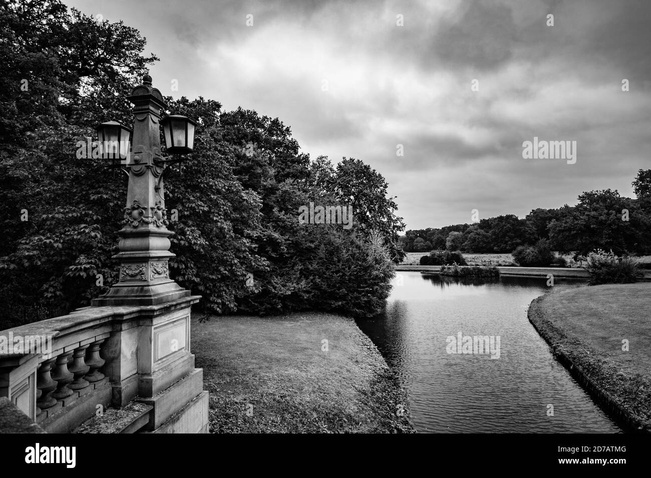 Plan en échelle de gris de l'eau de l'étang réfléchissant entouré par la végétation luxuriante à Burgerpark, Brême, Allemagne Banque D'Images