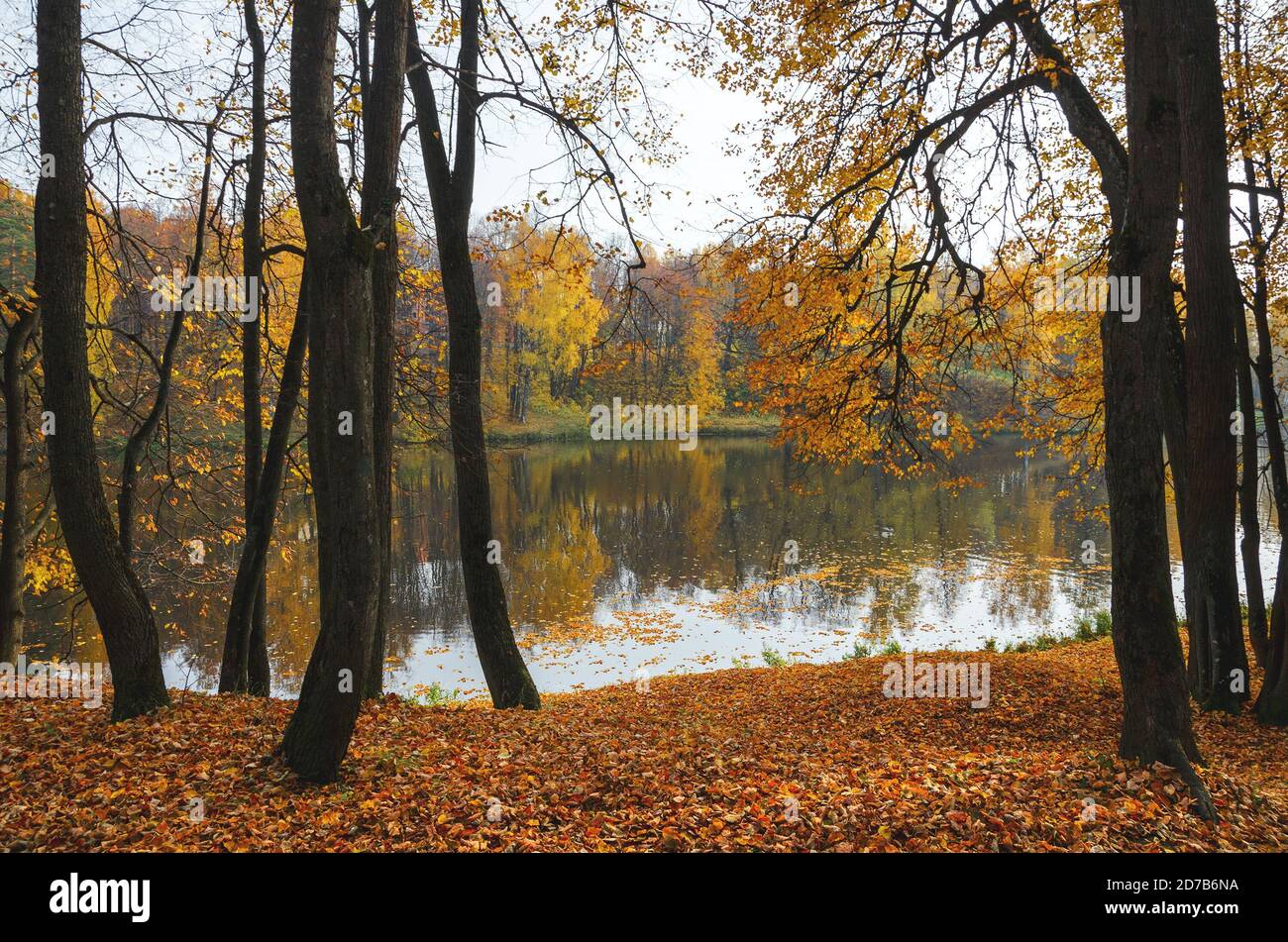 Paysage d'automne avec lac et arbres dans le parc en octobre soirée Banque D'Images