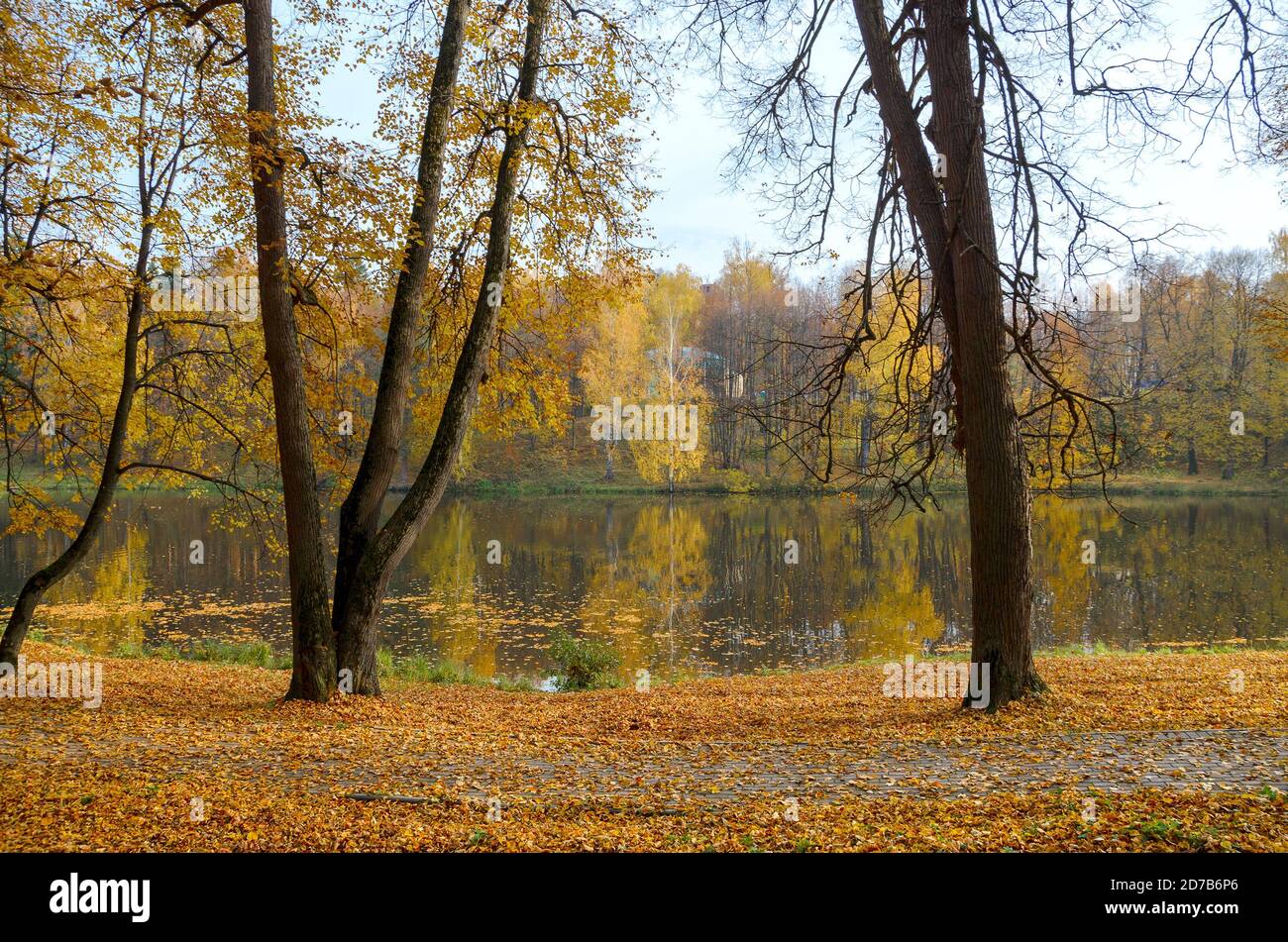 Paysage d'automne avec lac et arbres dans le parc en octobre soirée Banque D'Images