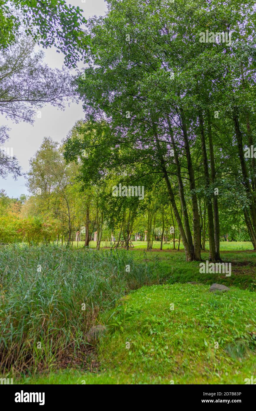 Spa et jardins de contes de fées à Burg-Dorf, Burg, Obersprewald, Forêt de Spree, Réserve de biosphère de l'UNESCO, Brandebourg, Allemagne de l'est, Europe Banque D'Images