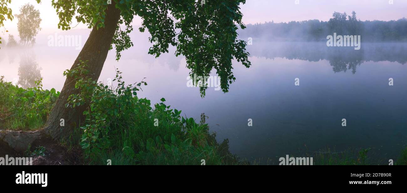 Paysage d'été tranquille avec lac forestier pendant le matin de fogyy Banque D'Images