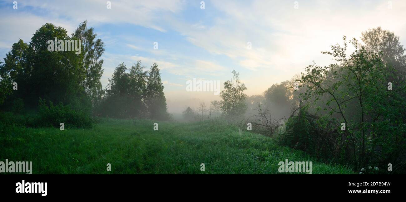 Paysage de printemps calme avec rivière forestière pendant la matinée brumeuse Banque D'Images