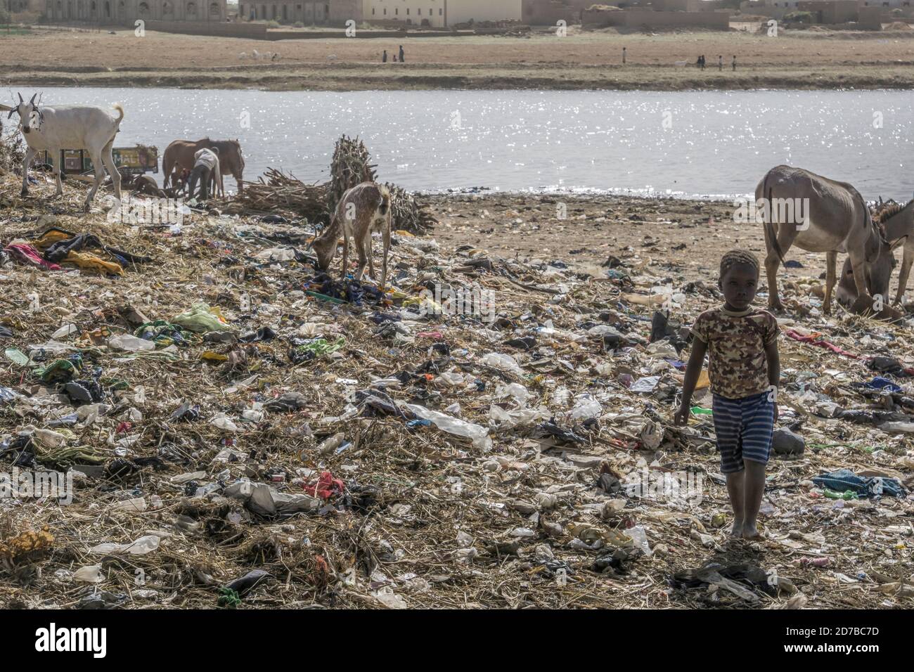 Les enfants s'ébouillogent dans un dépotoir, Niamey, Niger Banque D'Images