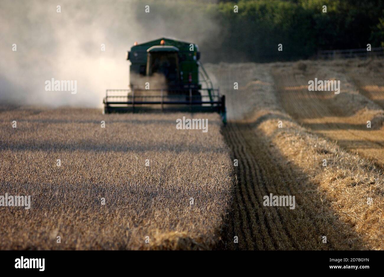 AJAXNETPHOTO. SOUTHAMPTON, ANGLETERRE. - NUAGE DE POUSSIÈRE - MOISSONNEUSE-BATTEUSE BATTAGE DU BLÉ. PHOTO:JONATHAN EASTLAND/AJAX REF:D60508_139 Banque D'Images