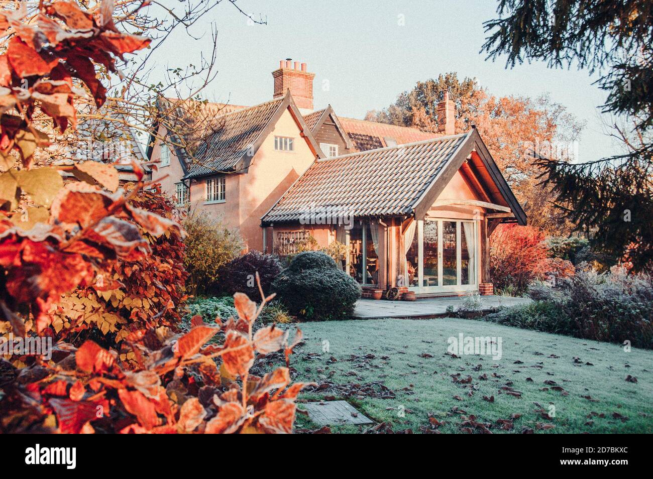 Feuilles d'or tombées en automne Banque D'Images