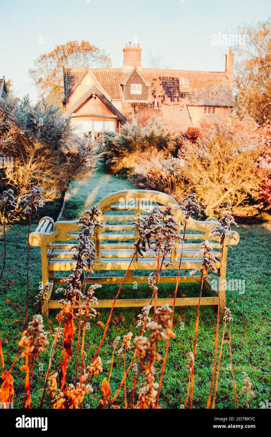 Feuilles d'or tombées en automne Banque D'Images