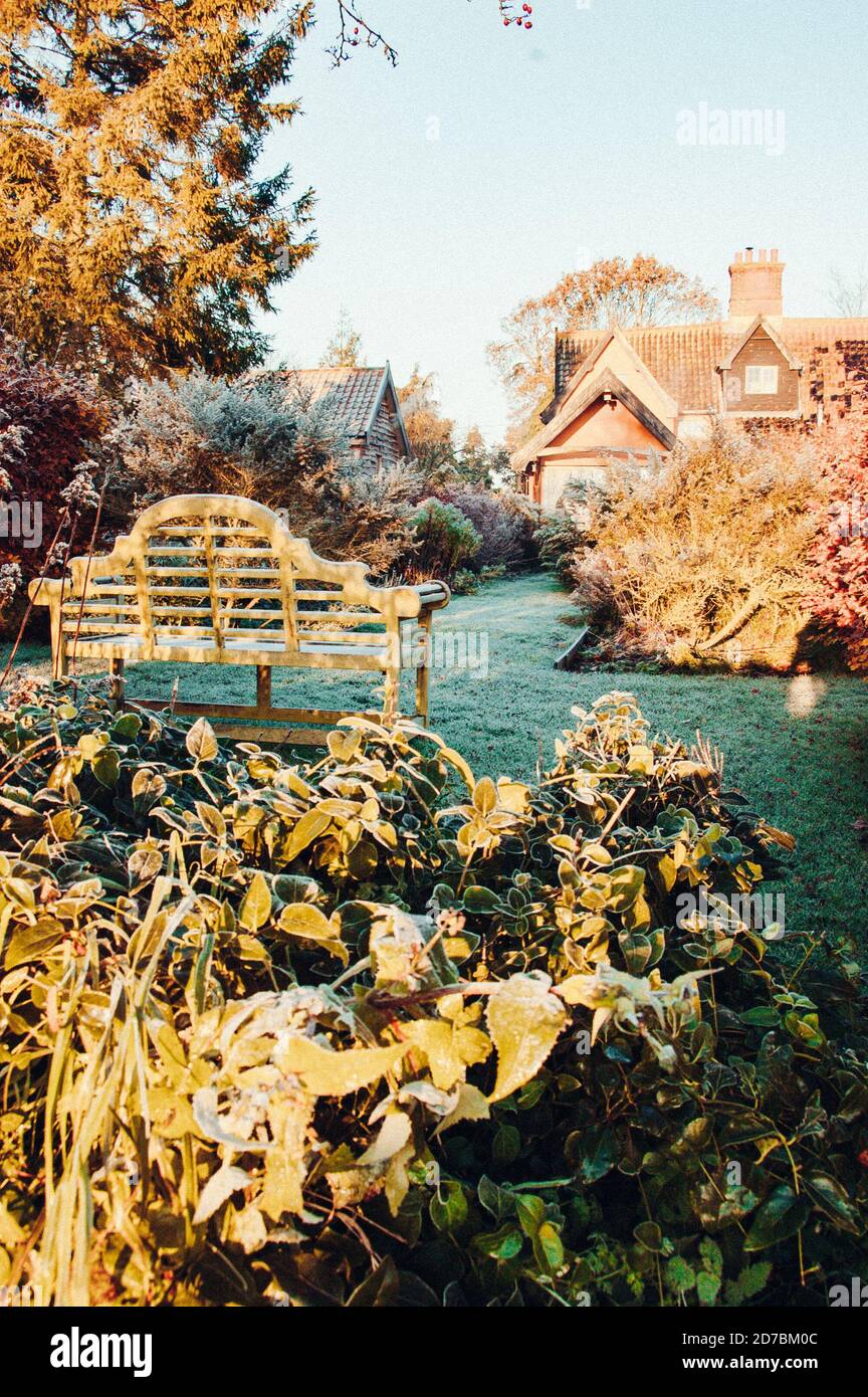 Feuilles d'or tombées en automne Banque D'Images