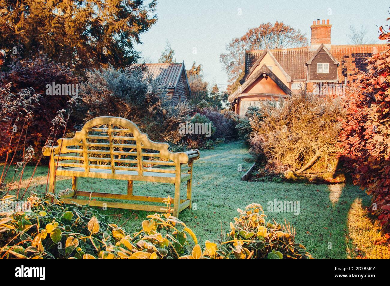 Feuilles d'or tombées en automne Banque D'Images