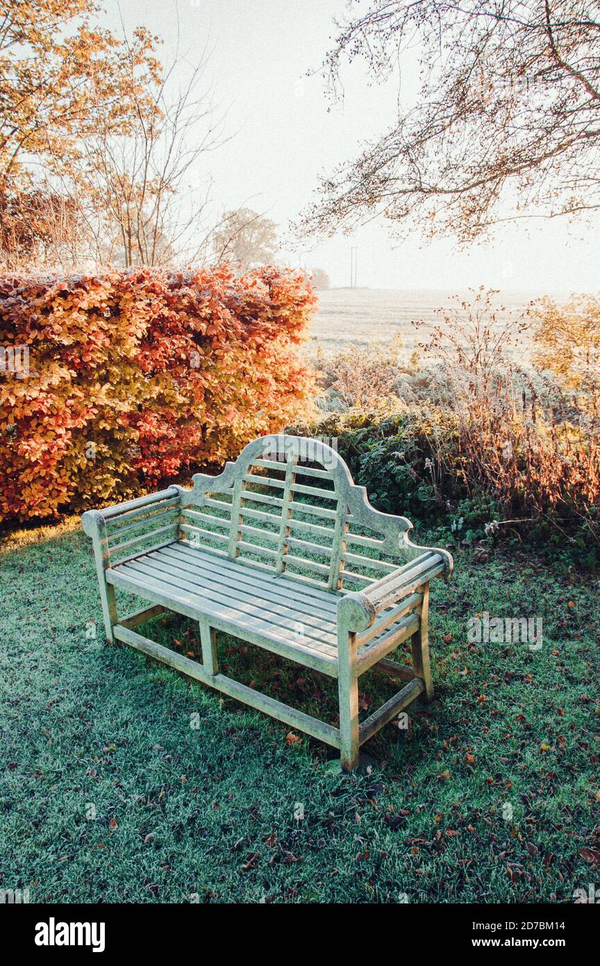 Feuilles d'or tombées en automne Banque D'Images
