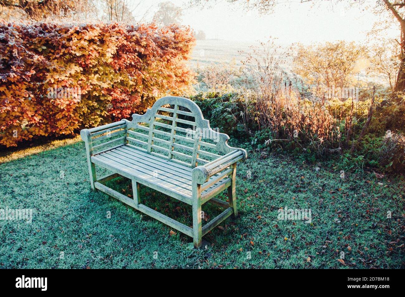 Feuilles d'or tombées en automne Banque D'Images