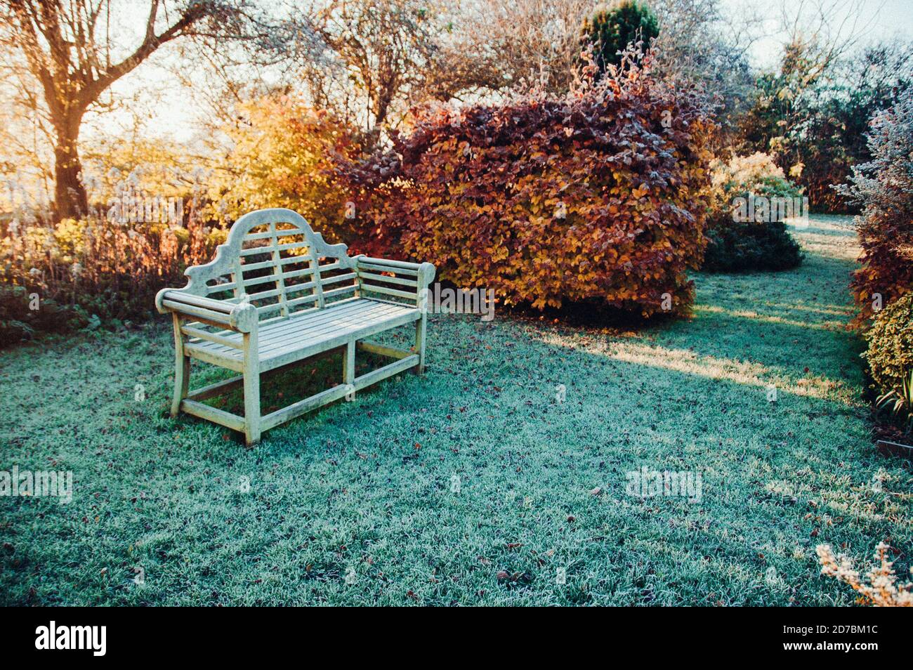 Feuilles d'or tombées en automne Banque D'Images
