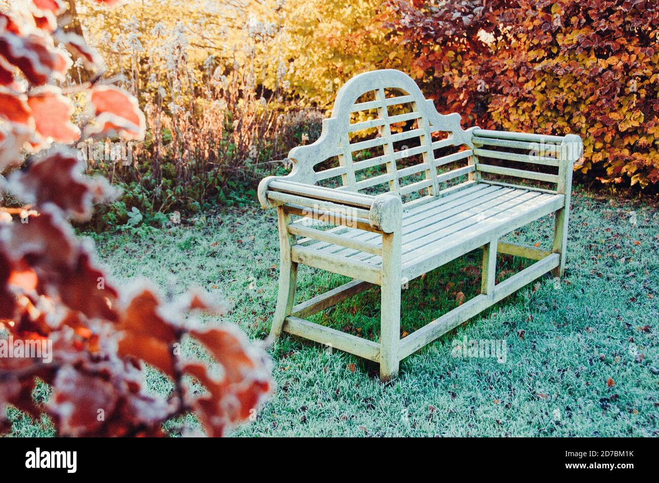 Feuilles d'or tombées en automne Banque D'Images