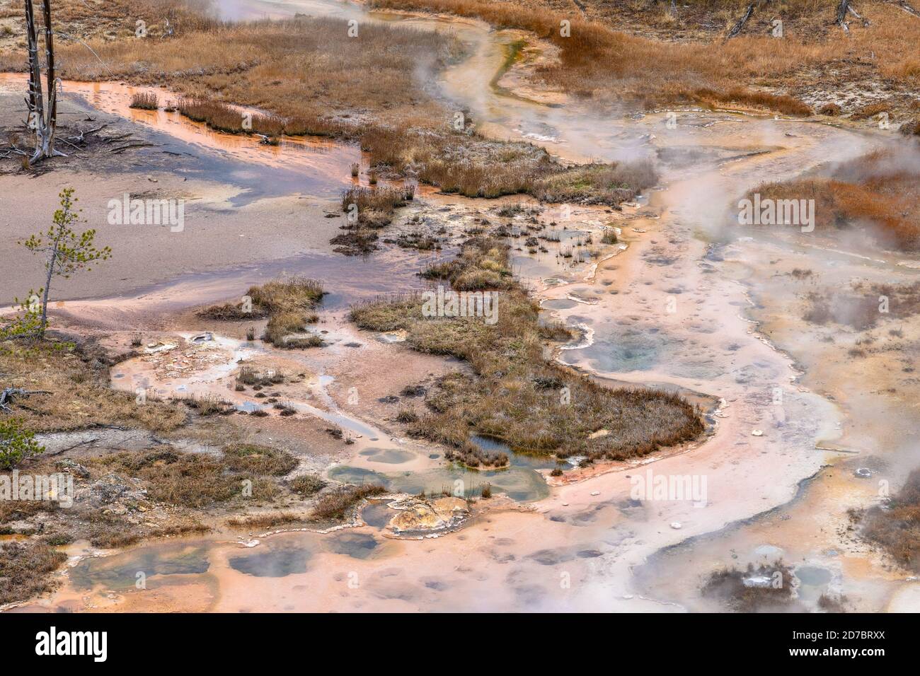 Sources thermales géothermiques colorées, geysers et pots de boue appelés artistes Paintpots dans le parc national de Yellowstone, Wyoming Banque D'Images