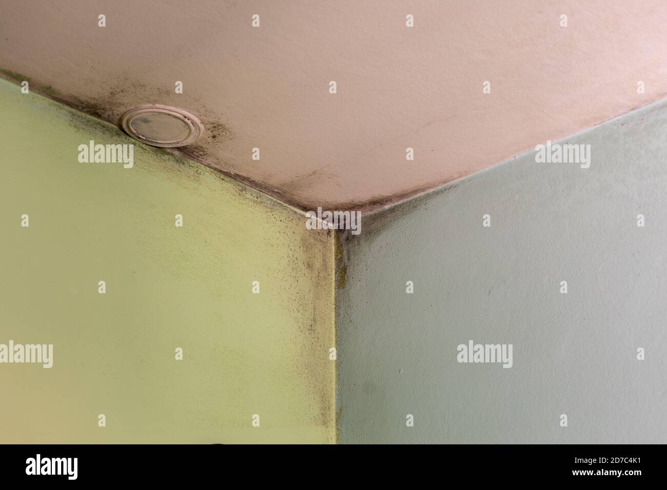 Coin de mur Unhigienic avec moule de la condensation sur les murs dans la  chambre avec mauvaise photo de stock d'isolation Photo Stock - Alamy