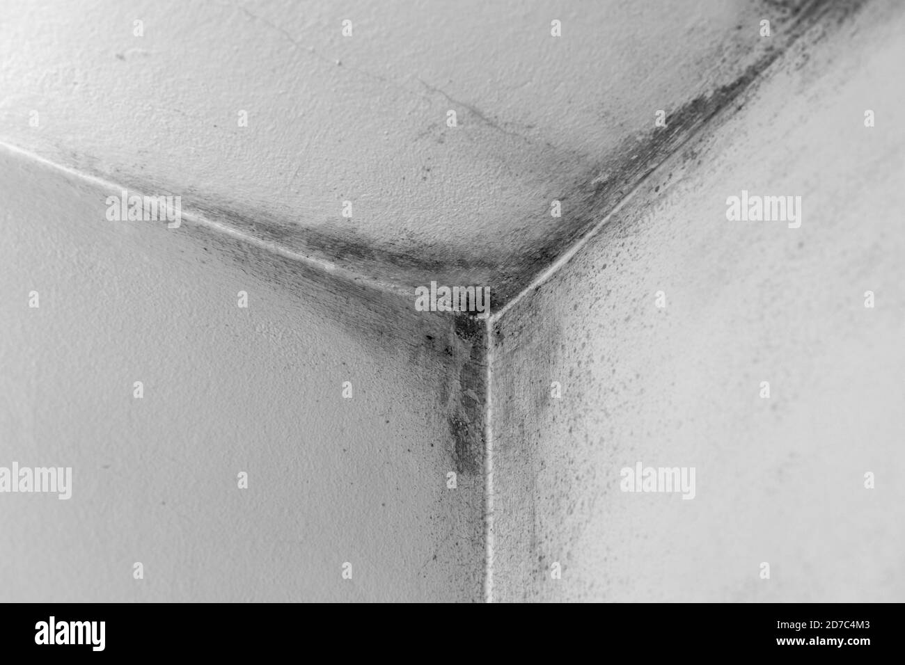 Coin de mur Unhigienic avec moule de la condensation sur les murs dans la  chambre avec mauvaise photo de stock d'isolation Photo Stock - Alamy