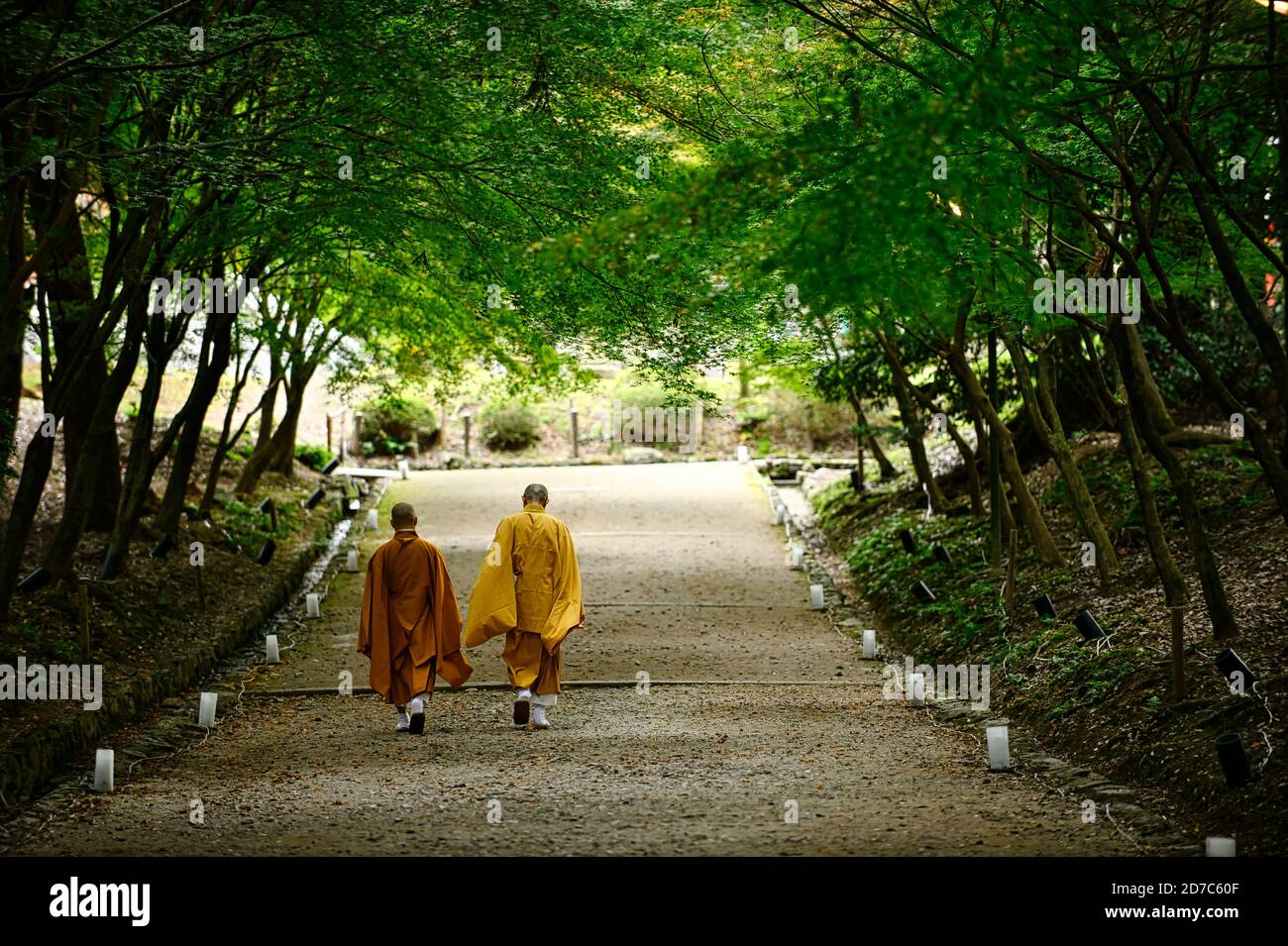 Deux moines marchant sur une route avec un tunnel vert. Vue arrière, jardin ombragé dans un temple à Kyoto Japon Banque D'Images