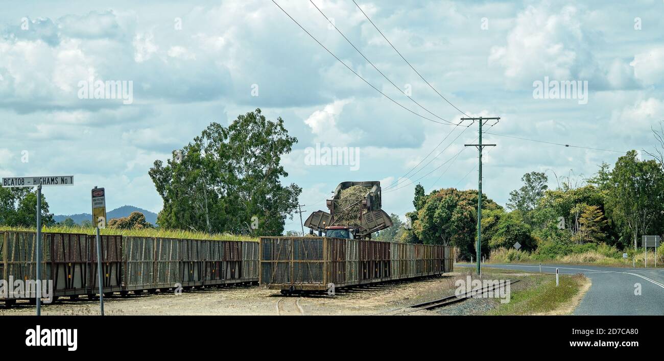 MacKay, Australie - 25 août 2019 : un agriculteur vidant sa canne à sucre récoltée dans des bacs pour le transport ferroviaire jusqu'à la raffinerie Banque D'Images