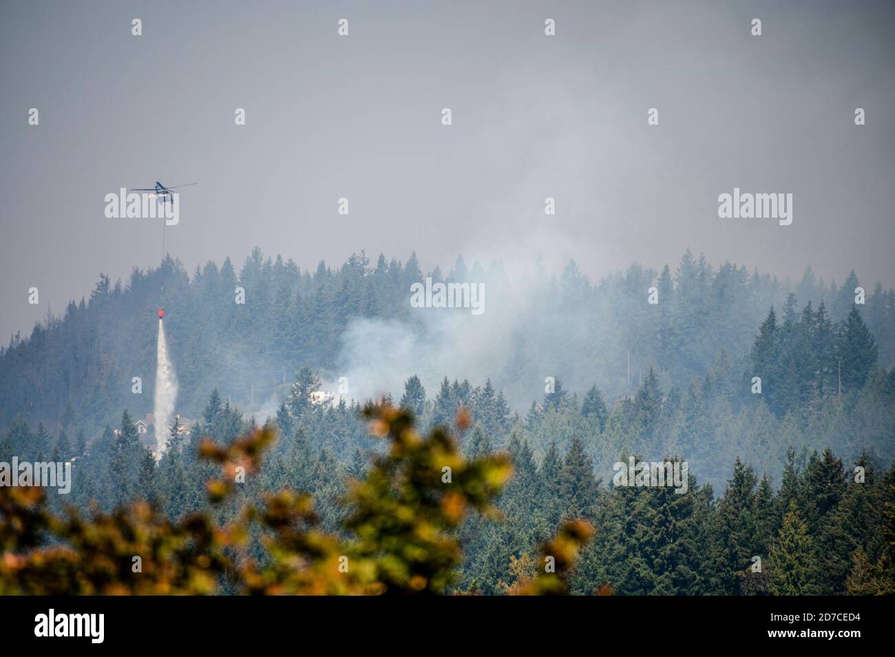 Hélicoptère larguer de l'eau sur un feu de forêt dans l'État de Washington Banque D'Images