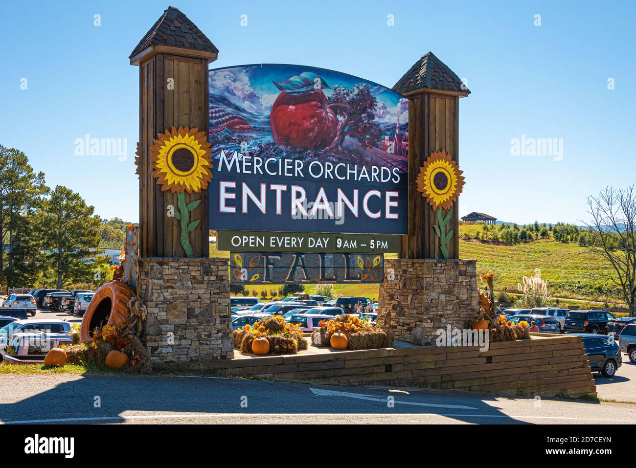 Vergers Mercier à Blue Ridge, Géorgie. (ÉTATS-UNIS) Banque D'Images