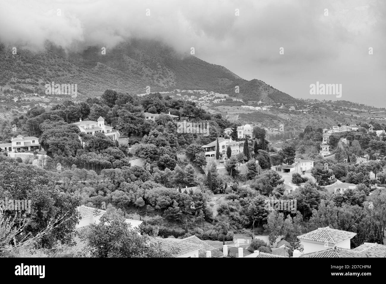 Paysage noir et blanc Banque D'Images