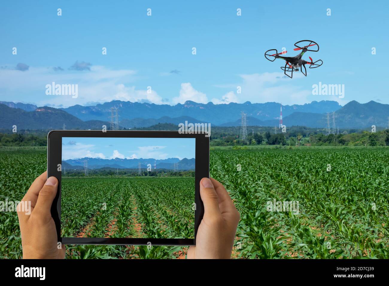 Drone pour l'agriculture, l'utilisation de drones pour divers domaines comme la recherche, l'analyse de la sécurité, le sauvetage, la technologie de numérisation du terrain, de la surveillance, l'hydratation des sols yie Banque D'Images