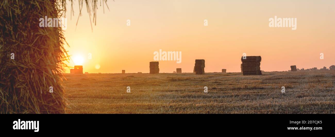 Vue panoramique sur les cabanes de foin dans le champ de la ferme au lever du soleil. Banque D'Images