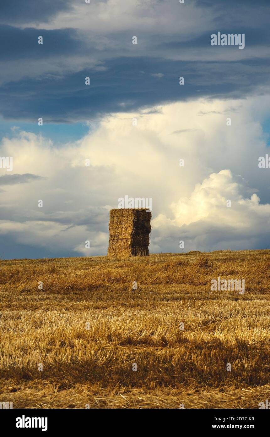 Une botte de foin dans un champ rural vide sur un fond de magnifique ciel spectaculaire au coucher du soleil Banque D'Images