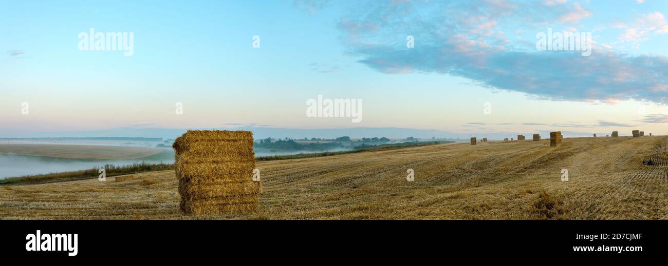 Belle vue sur les cabanes de foin dans le champ de la ferme pendant le lever du soleil brumeux. Banque D'Images