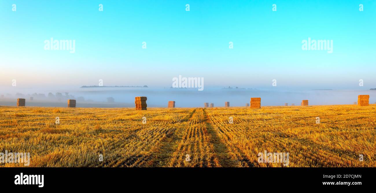 Belle vue sur les cabanes de foin dans le champ de la ferme pendant le lever du soleil brumeux. Banque D'Images