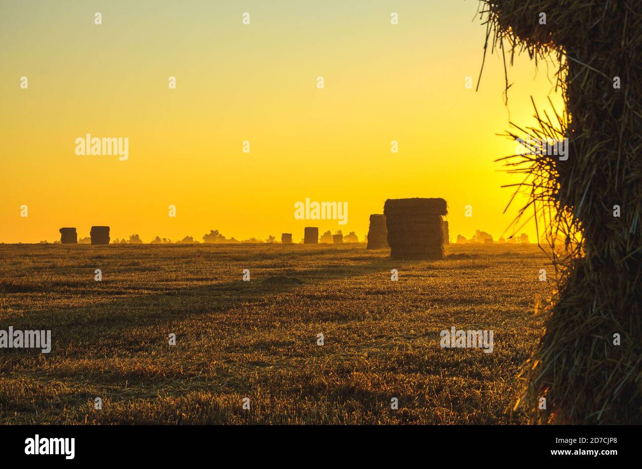 Scène rurale lumineuse avec des haystacks dans le champ de la ferme pendant le matin d'automne ensoleillé. Banque D'Images