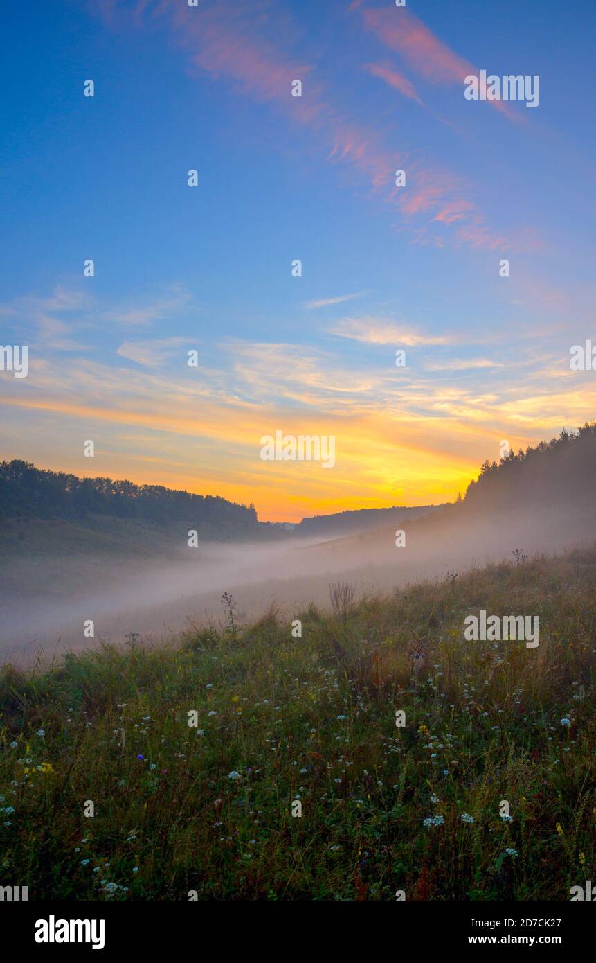 Magnifique paysage brumeux d'été avec des collines creuses brumeuses et vertes avant le lever du soleil. Banque D'Images