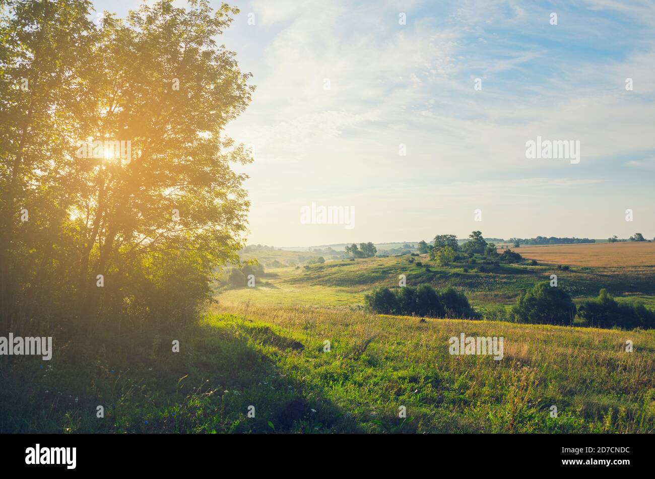 Belle vue du matin sur les collines verdoyantes, les champs, les pâturages et les bois lointains sur un fond de ciel bleu. Banque D'Images