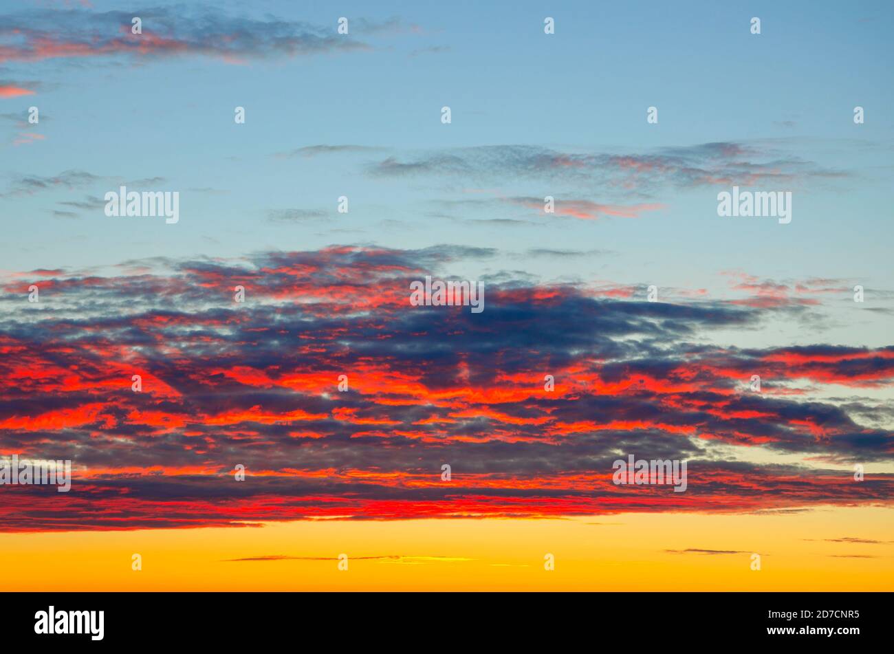 Magnifique coucher de soleil coloré ciel arrière-plan. Banque D'Images