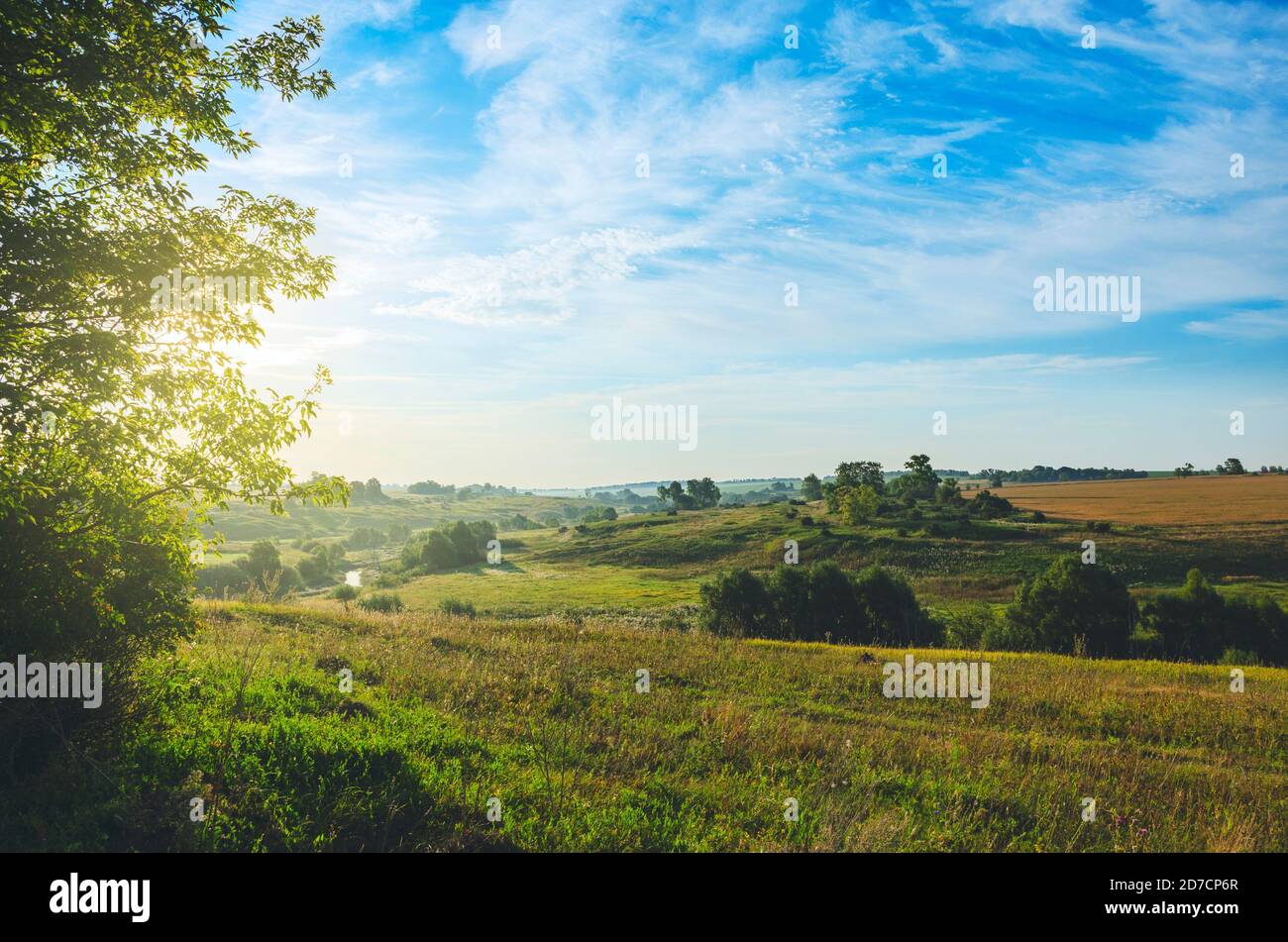 Belle vue du matin sur les collines verdoyantes, les champs, les pâturages et les bois lointains sur un fond de ciel bleu. Banque D'Images