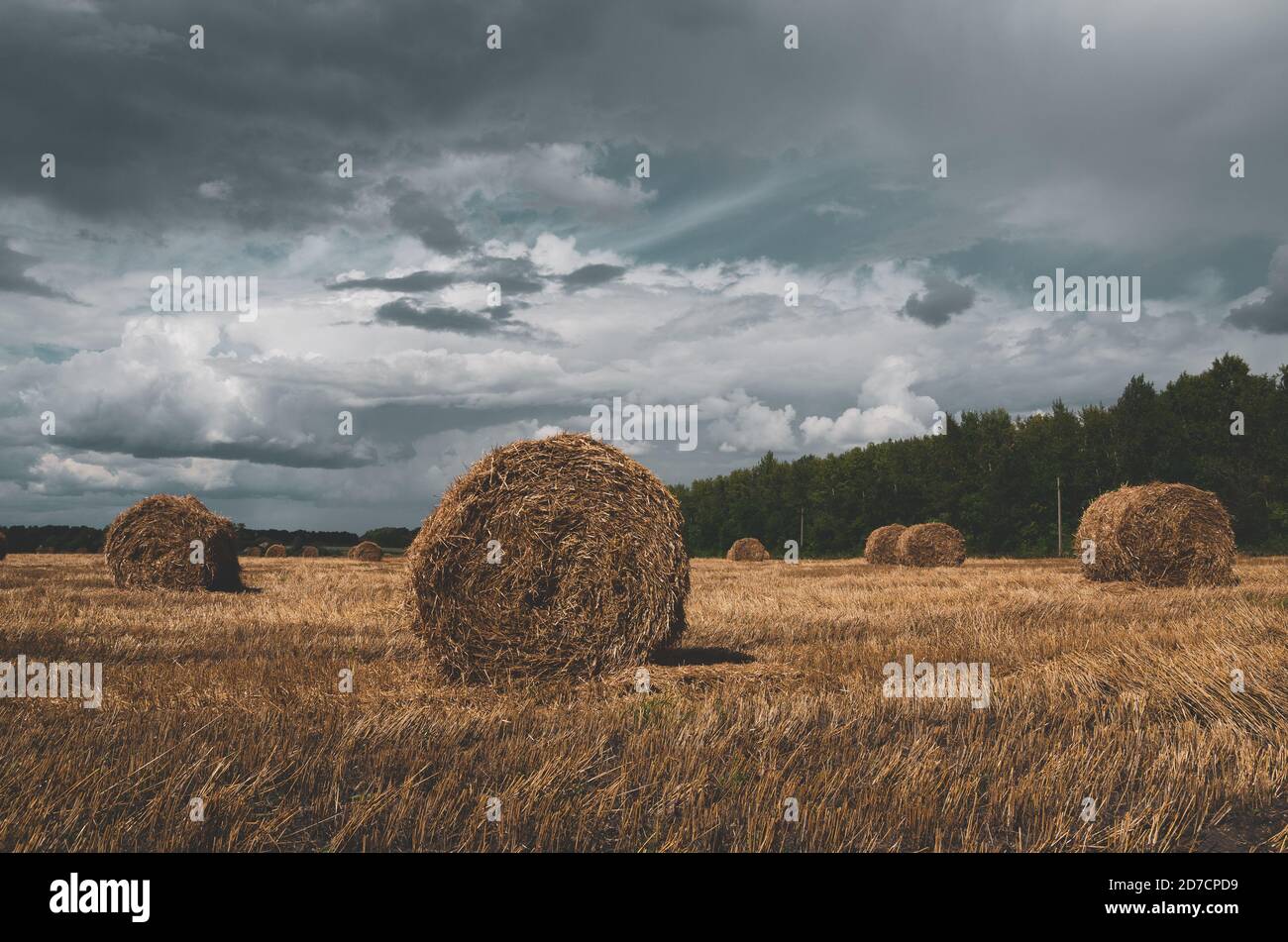 Nuages sombres de tempête sur le champ de la ferme avec des botte de foin. Banque D'Images