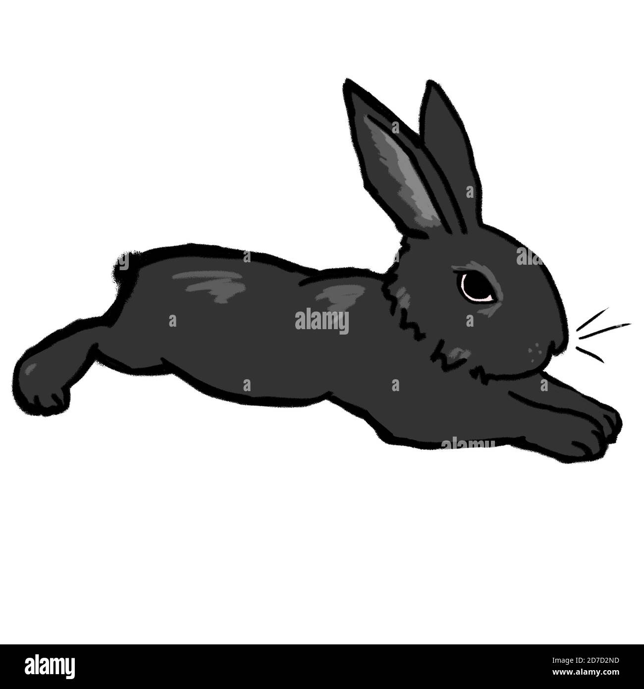 Joli petit lapin noir et gris Banque D'Images