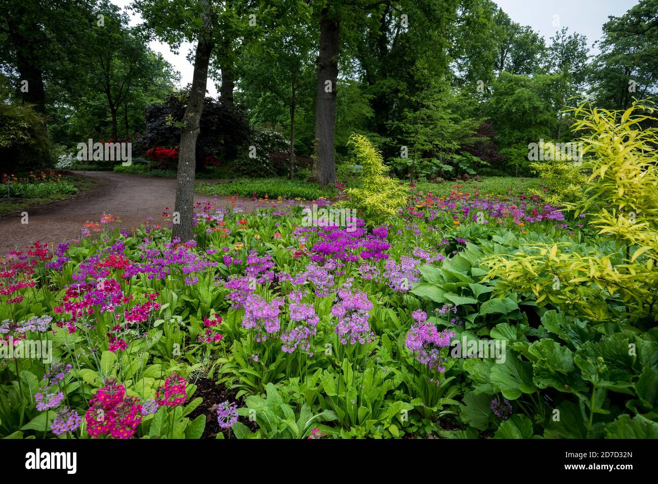 Wisley Gardens ; printemps ; Royaume-Uni Banque D'Images