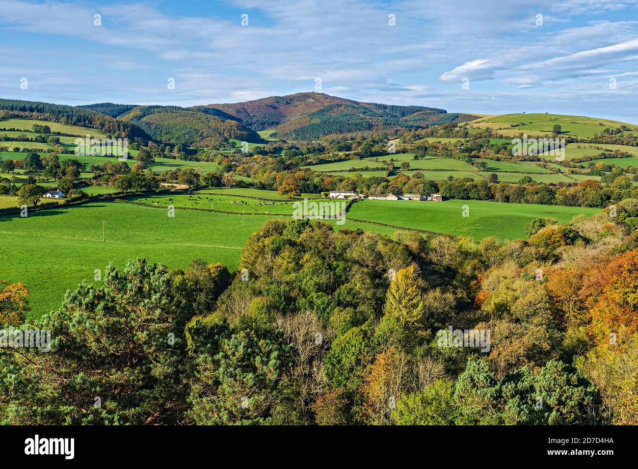 Moel Famau, dans la chaîne de montagnes de Clwydian, vue depuis des têtes de logger Country Park en automne près de Mold North Wales UK octobre 2019 2571 Banque D'Images
