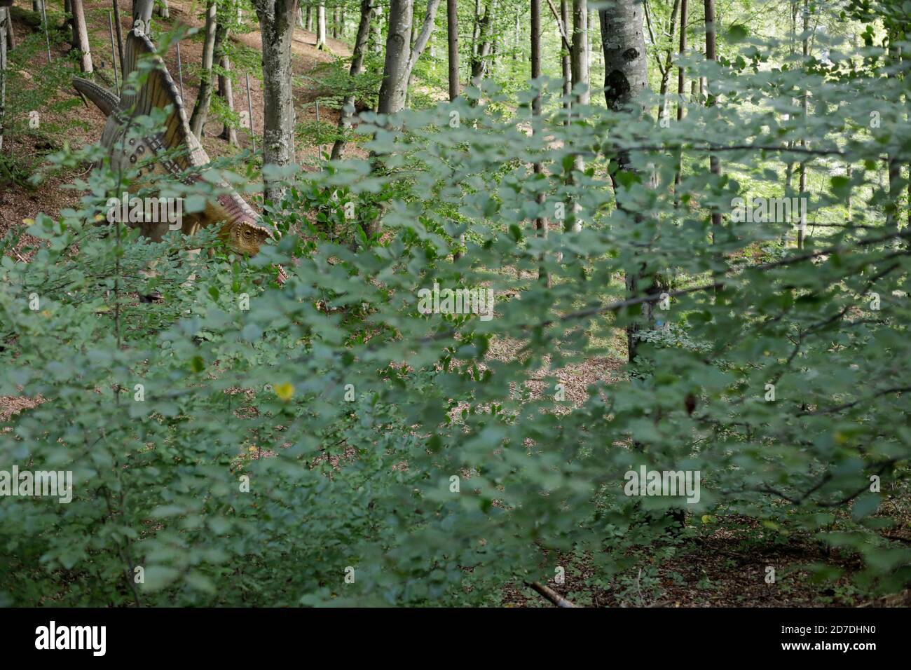 Dinosaur Dinosaurs Dino Spinosaurus Banque D Image Et Photos Alamy