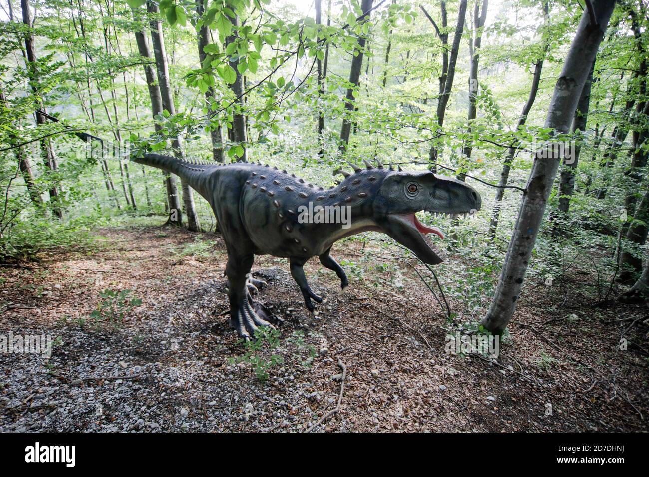 Rasnov, Roumanie - 3 octobre 2020: Détails avec un modèle de dinosaure dans un parc extérieur de dino en Roumanie. Banque D'Images