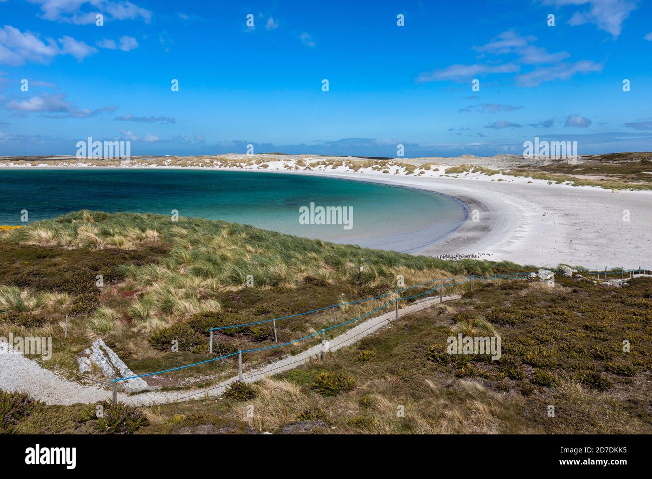 Yorke Bay ; Falklands Banque D'Images