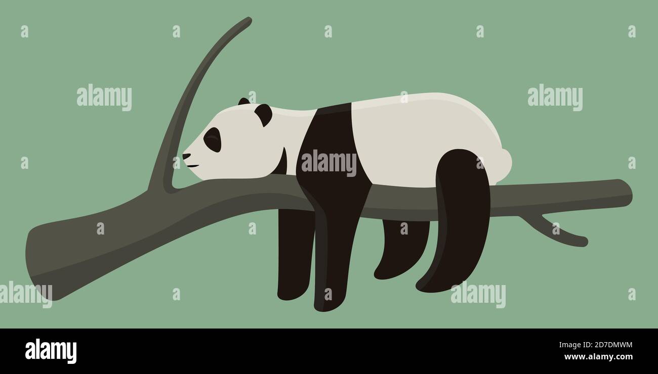 Panda dormant à l'embranchement. Joli animal de style dessin animé. Illustration de Vecteur