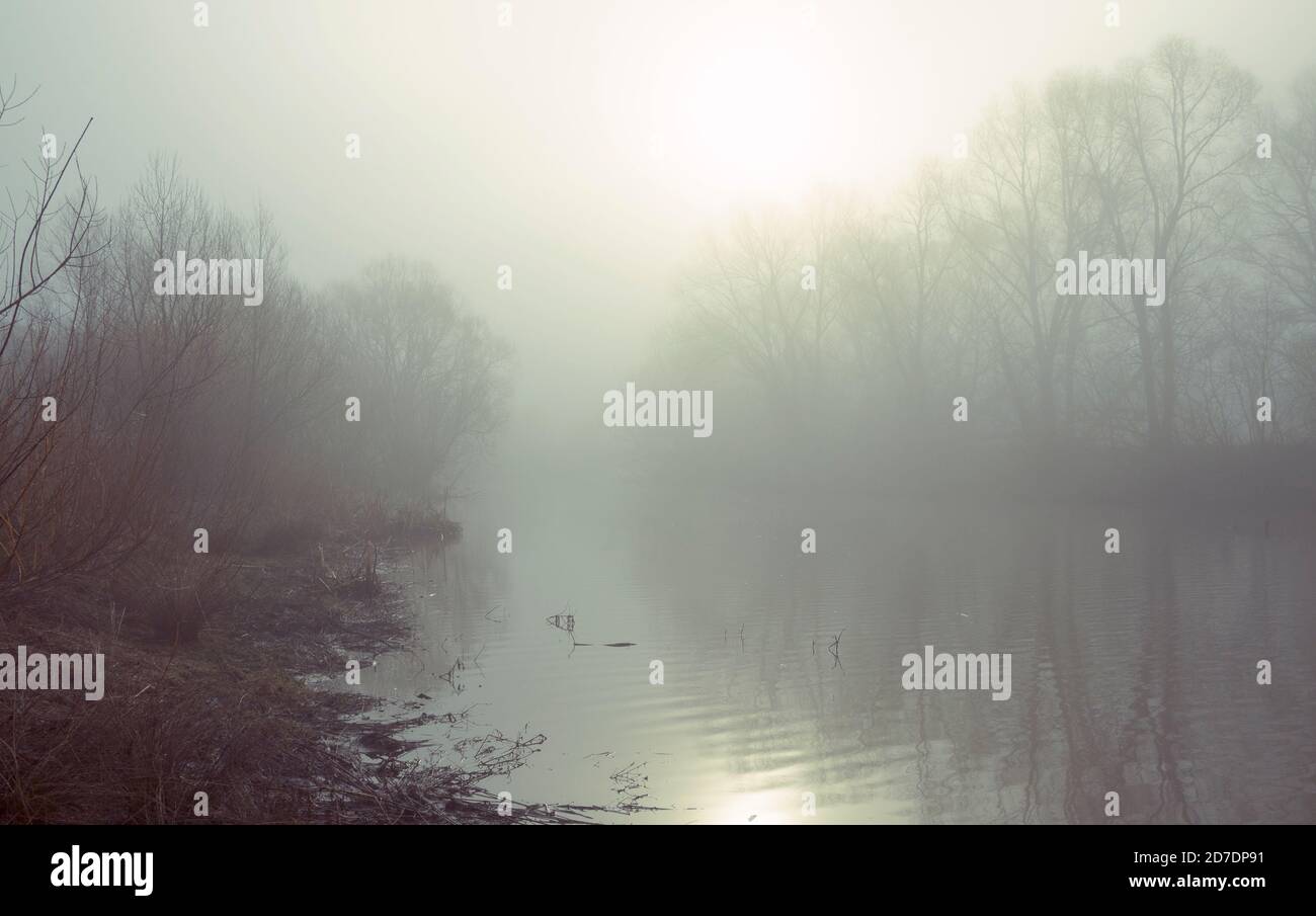 Paysage de printemps avec rivière pendant la journée de brouillard gris Banque D'Images