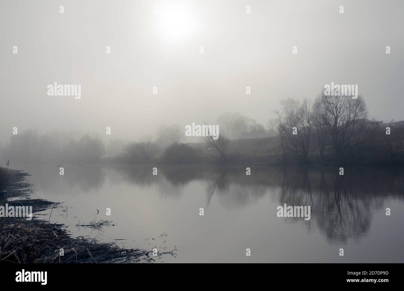 Paysage de printemps avec rivière pendant la journée de brouillard gris Banque D'Images