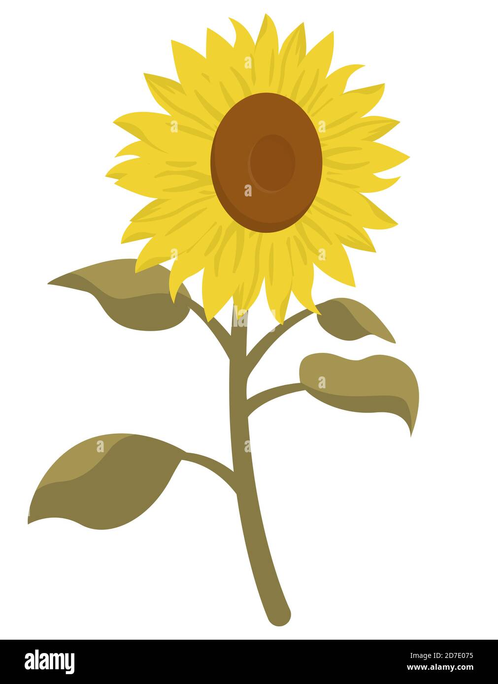 Tournesol de style dessin animé. Belle fleur isolée sur fond blanc. Illustration de Vecteur