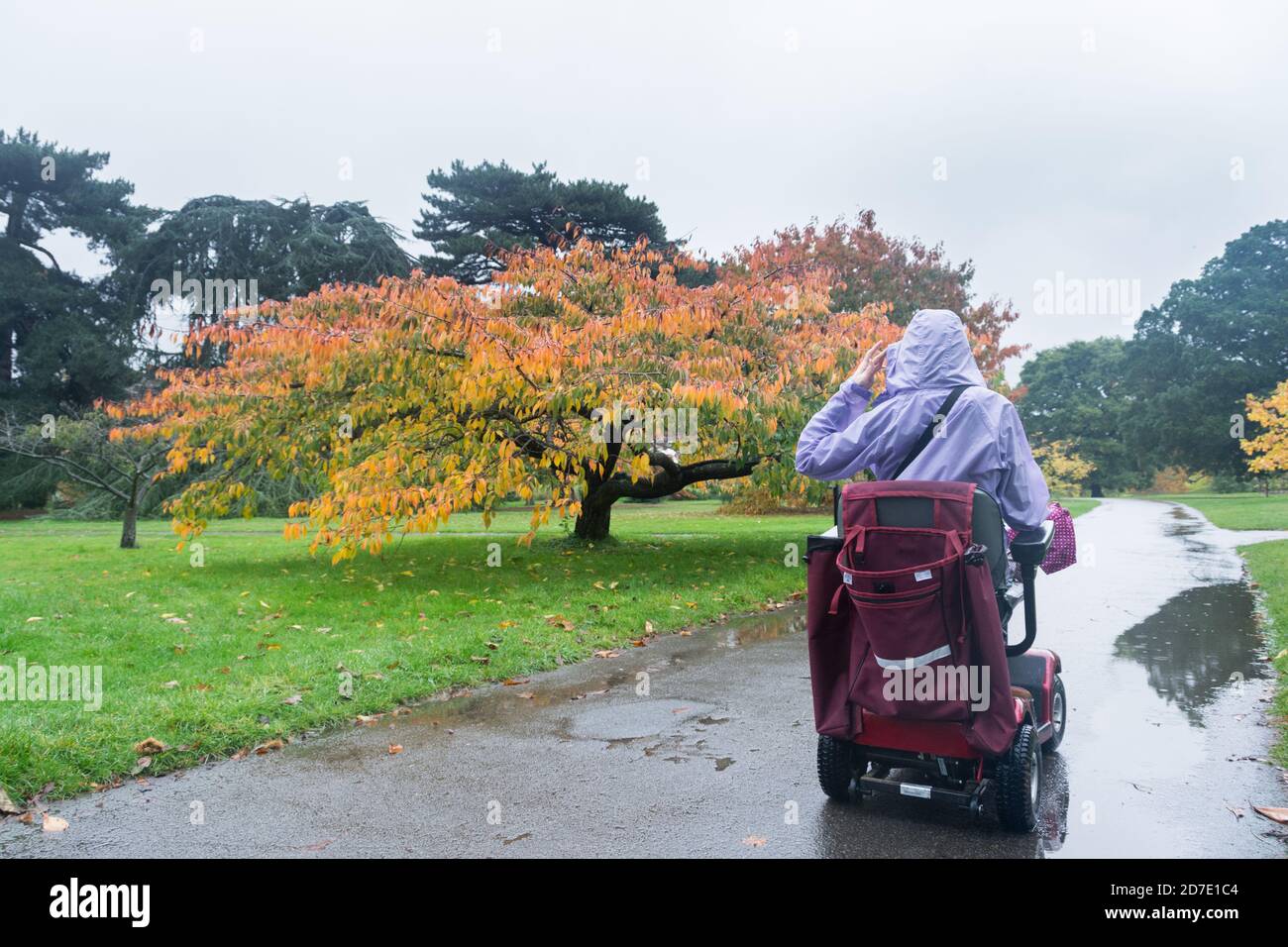 Gros plan sur le dos d'une jeune femme qui conduit un scooter de mobilité à Kew Gardens, Londres, Royaume-Uni Banque D'Images