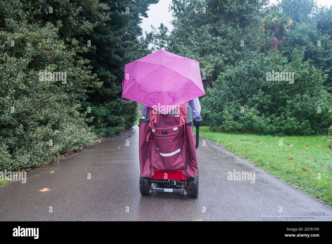 Gros plan d'une jeune femme avec un parapluie sur un scooter de mobilité à Kew Gardens, Londres, Royaume-Uni Banque D'Images
