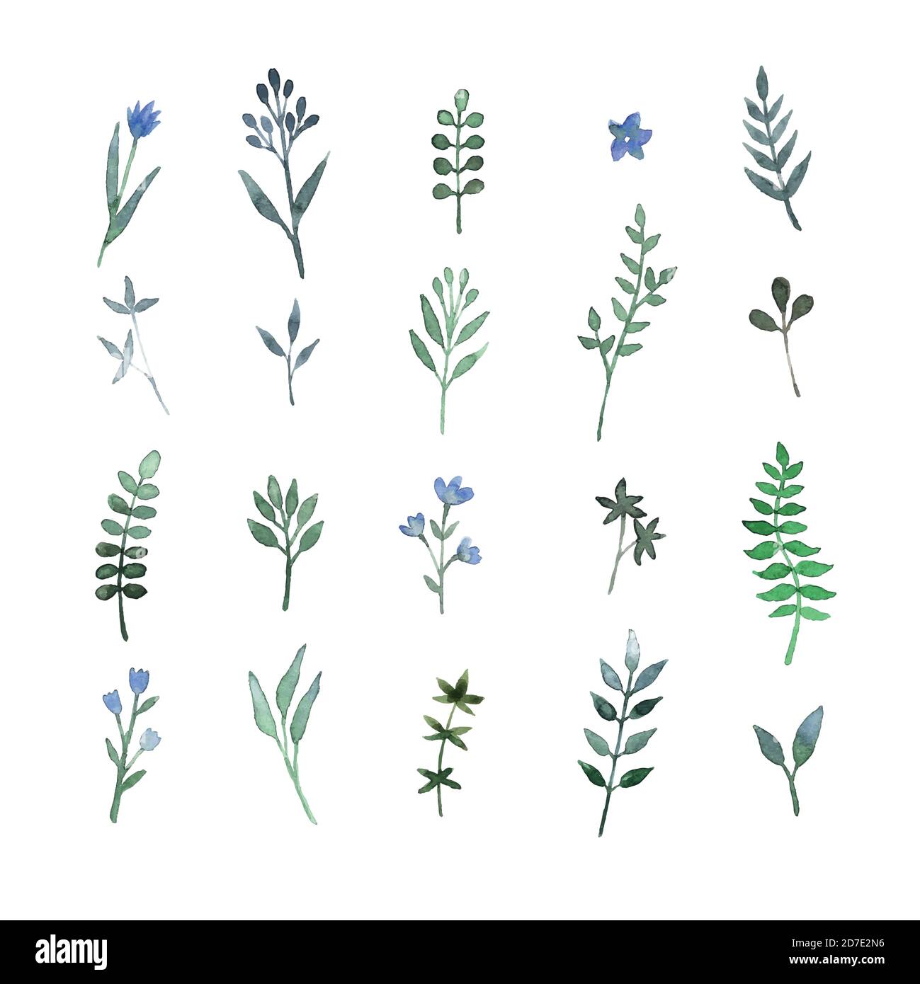 ensemble de feuilles d'herbes dessinées à la main Illustration de Vecteur